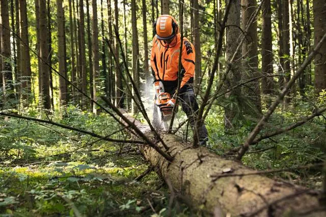 s_astartstihl1-bearbeitet Garten & Forstgeräte von STIHL, GreenMech – BNS